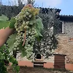 Feriehus Magna Mater Agriculturae *