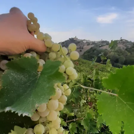 Magna Mater Agriculturae Monsampolo Del Tronto