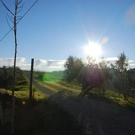 Magna Mater Agriculturae Ferienhaus