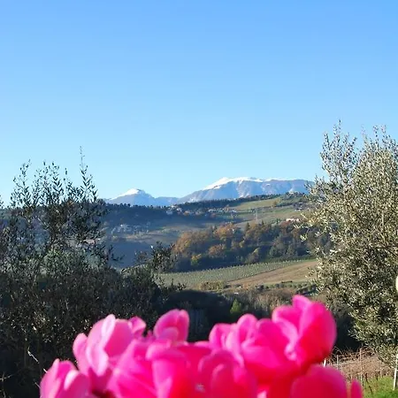 Magna Mater Agriculturae * Monsampolo Del Tronto
